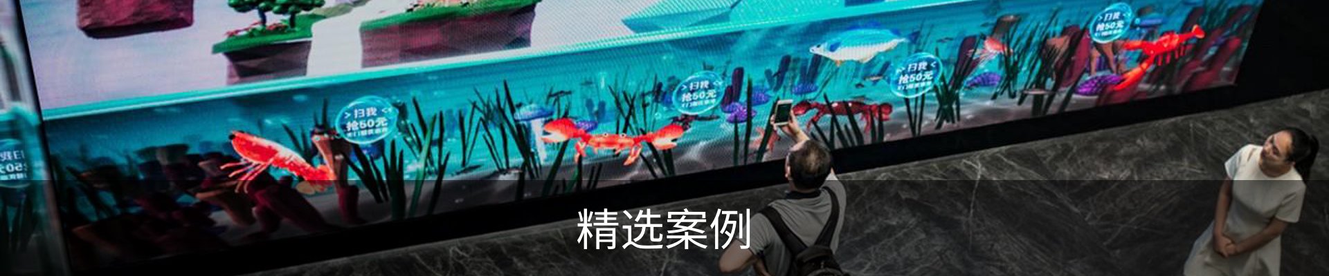 精选案例